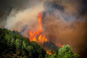 Neben Griechenland ist auch Nordmazedonien schwer von Waldbränden getroffen.