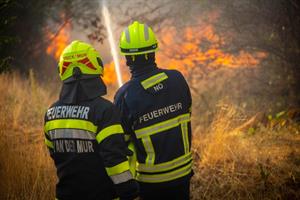Österreichs Feuerwehren helfen bei den Waldbränden in Griechenland und Nordmazedonien.